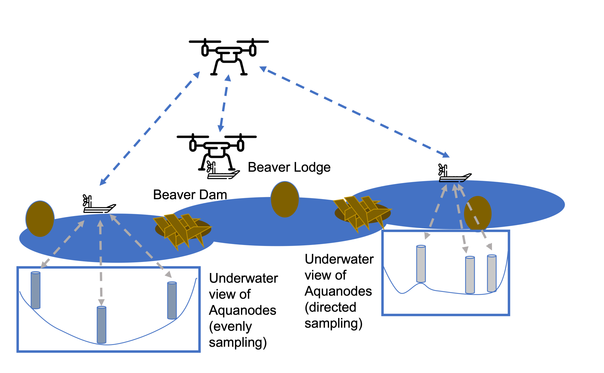 Descriptive image of the ARCTIC Ecosystem project showing beaver lodges, beaver ponds, underwater sensors, surface boats, and drones.