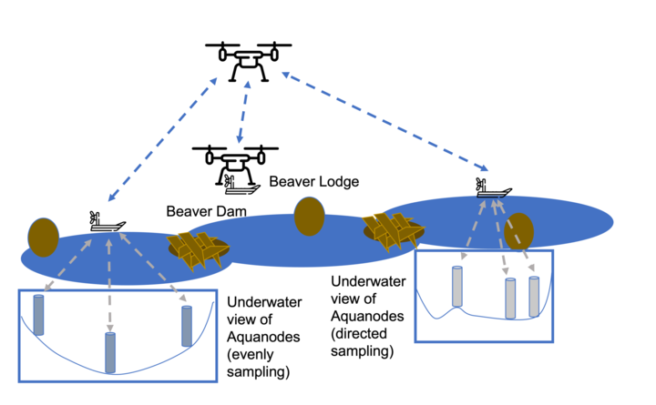 NRI: Collaborative Research: Adaptive multi-Robot Configurable Teams Investigating Changing Ecosystem
