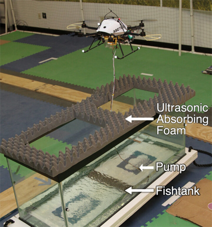 Co-Aerial-Ecologist: Robotic Water Sampling and Sensing in the Wild