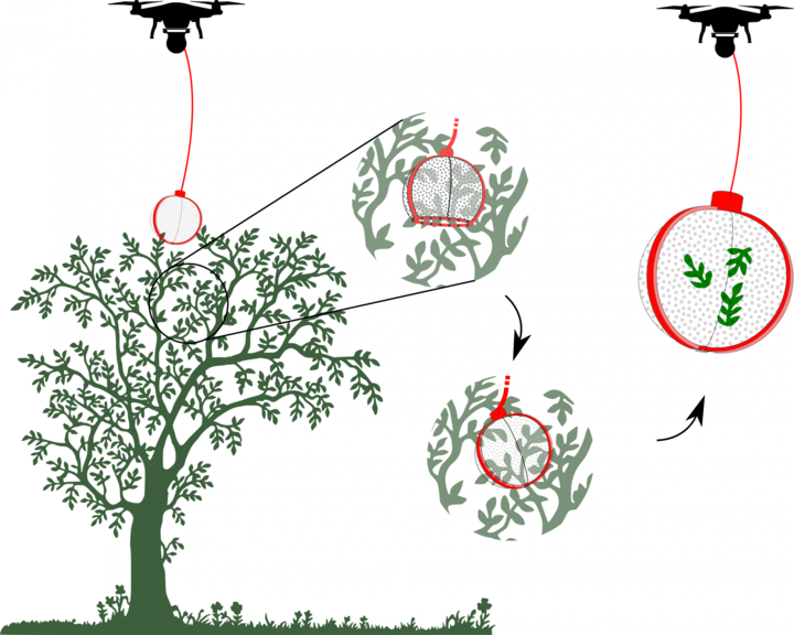 Leveraging Environmental Monitoring UAS in Rainforests