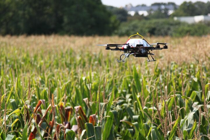 Crop Surveying Using Aerial Robots